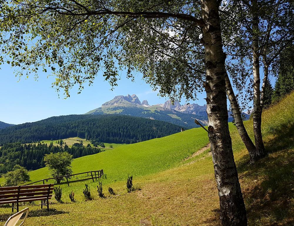 Ciasa Alpina Relax Hotel Moena Kültér fotó